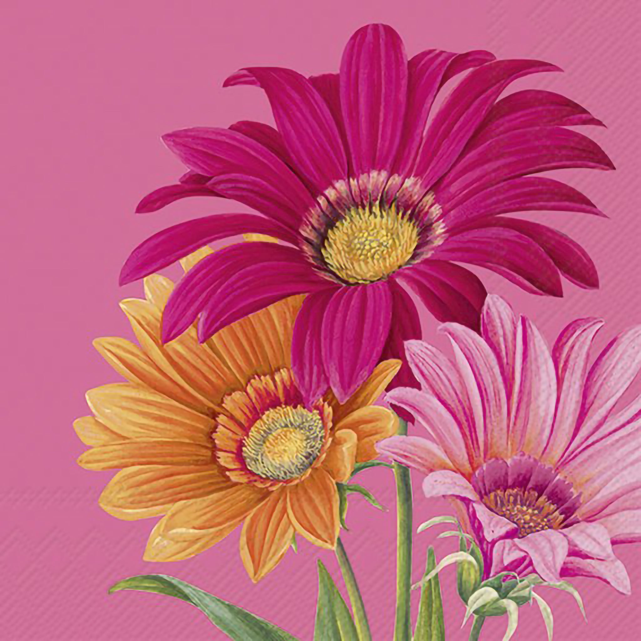 Pink paper napkins featuring pink and orange gerbera daisies