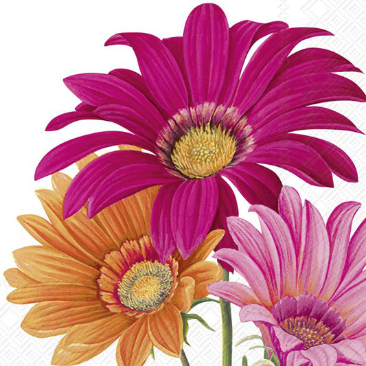 White napkin featuring a design of pink and orange gerbera daisies