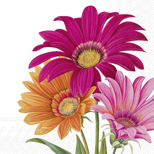 White paper napkins featuring pink and orange gerbera daisies