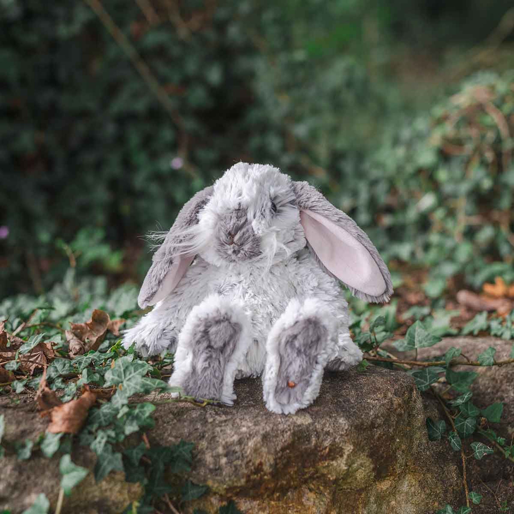 Plush toy rabbit on garden wall