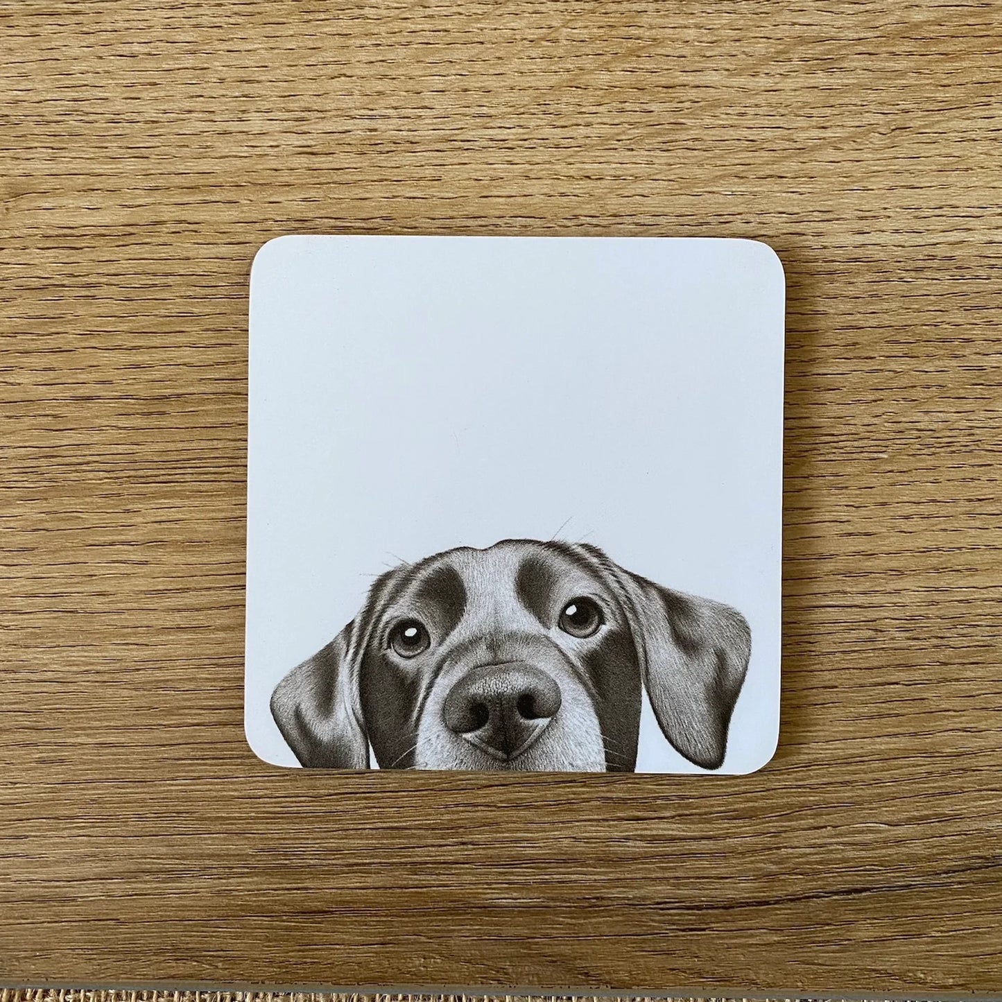 Coaster | Lenny Labrador
