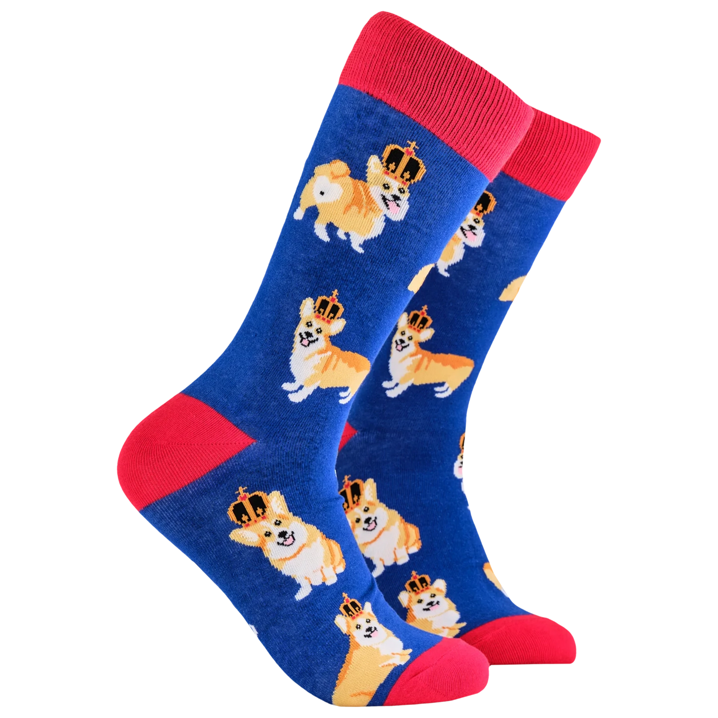Majestic crowned corgi dog socks in royal blue and red