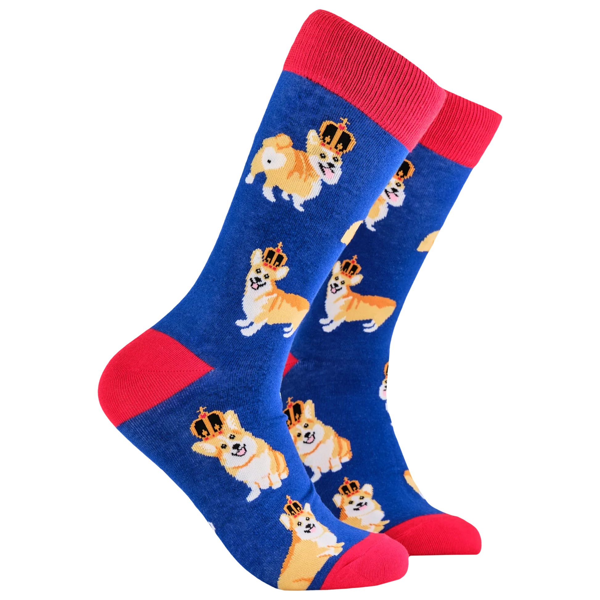 Majestic crowned corgi dog socks in royal blue and red