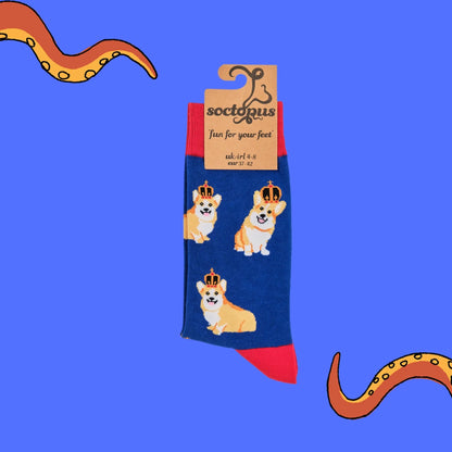 Packaged majestic crowned corgi dog socks in royal blue and red