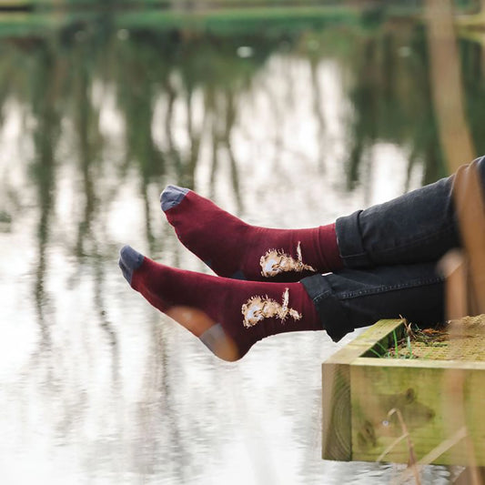 Model wearing a pair of dark red socks with grey heels and a hare