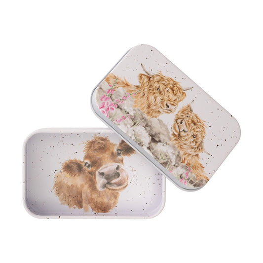 Mini tin fully illustrated with artwork of Highland cows by Hannah Dale