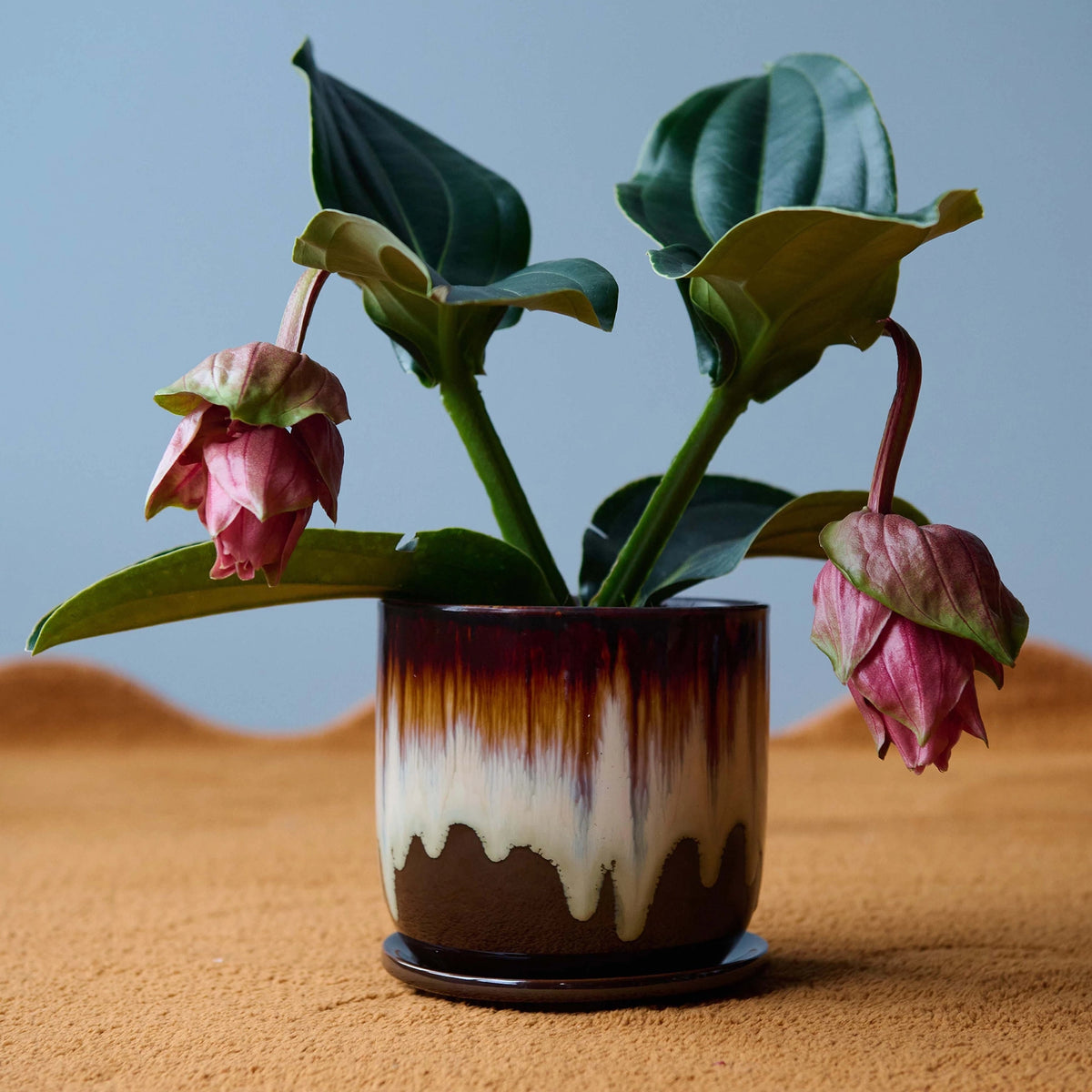 Nima Brown Melange | Small Plant Pot & Saucer