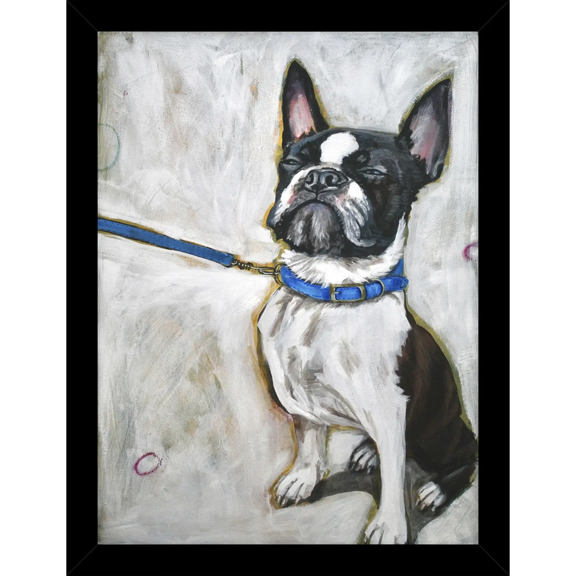 A framed print of a Boston terrier refusing a walk by artist Victoria Coleman
