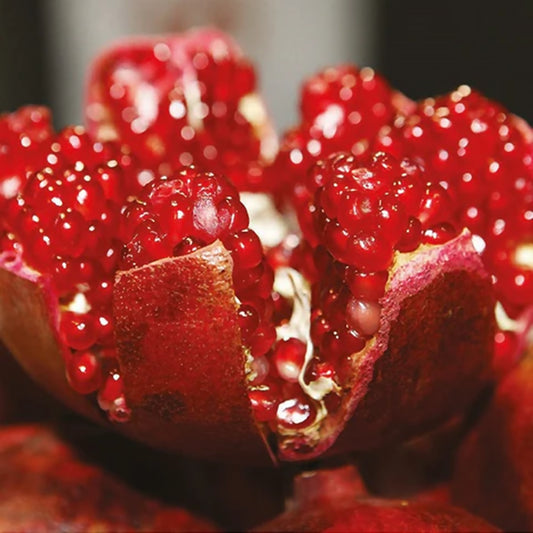 Isle of Skye pomegranate and plum scent ingredient 