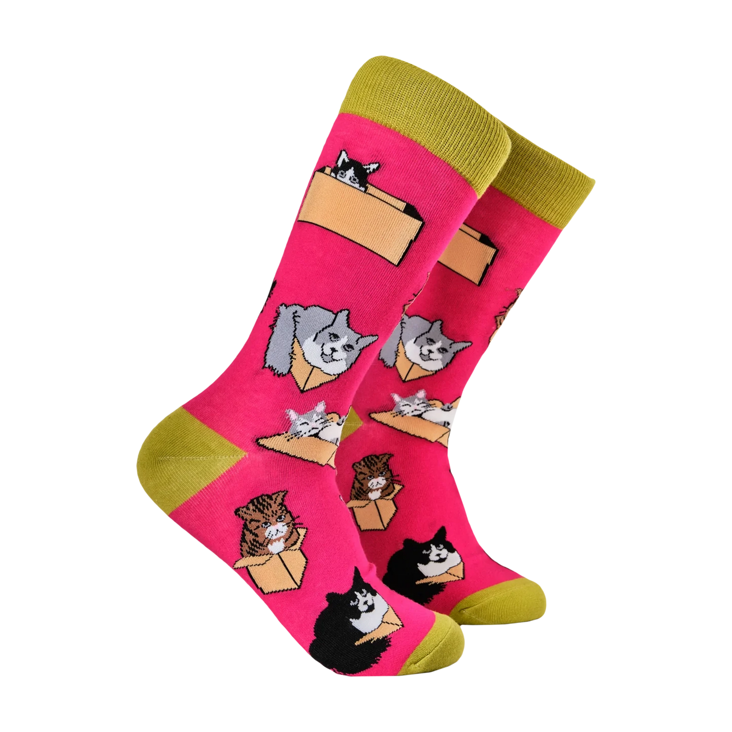 Pair of vivid pink socks with cats in boxes design