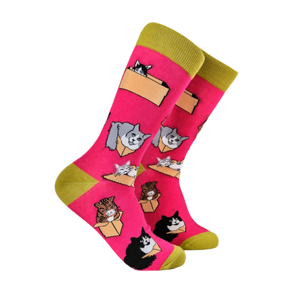 Pair of vivid pink socks with cats in boxes design