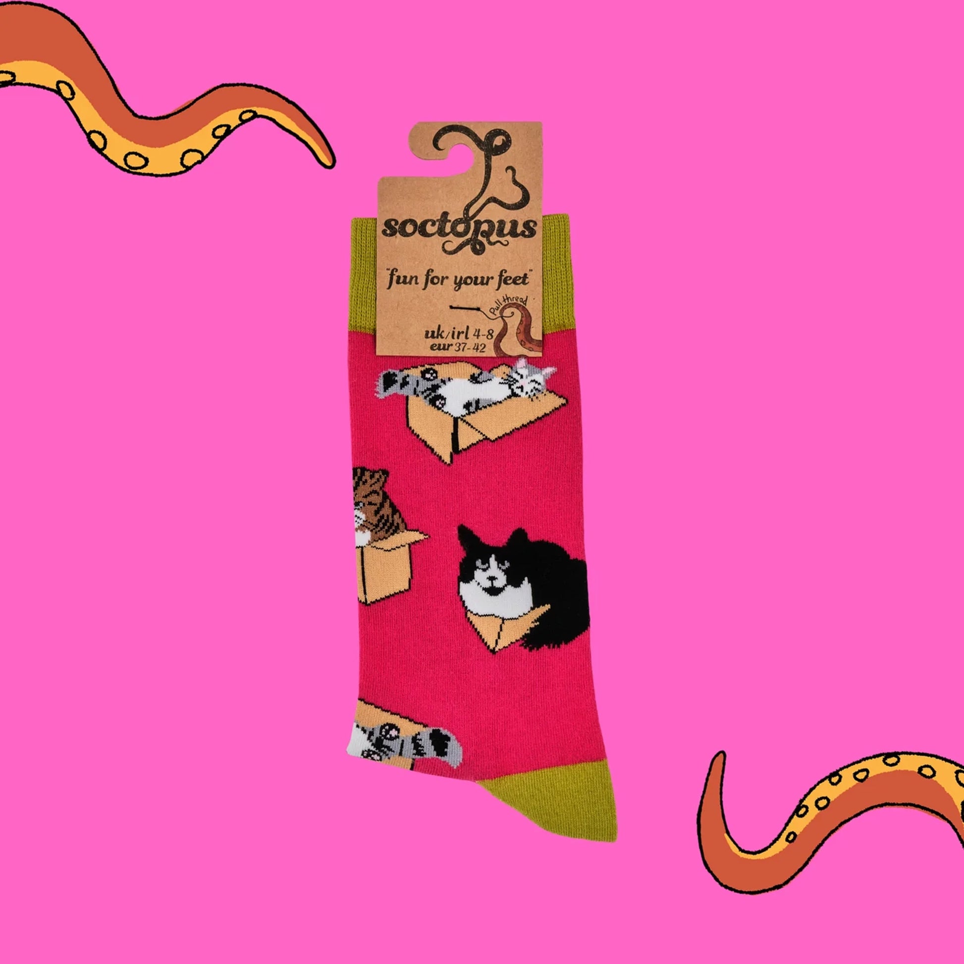 Pair of vivid pink socks with cats in boxes design in pkackaging