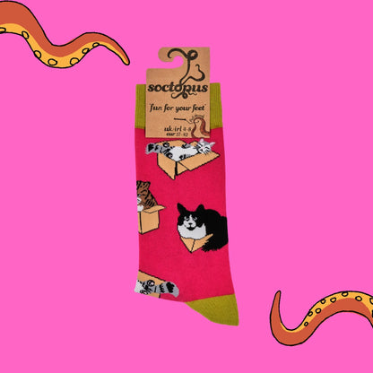 Pair of vivid pink socks with cats in boxes design in pkackaging