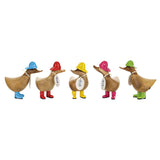 Wooden carved ducklings with painted rain hats and matching wellies in various colours