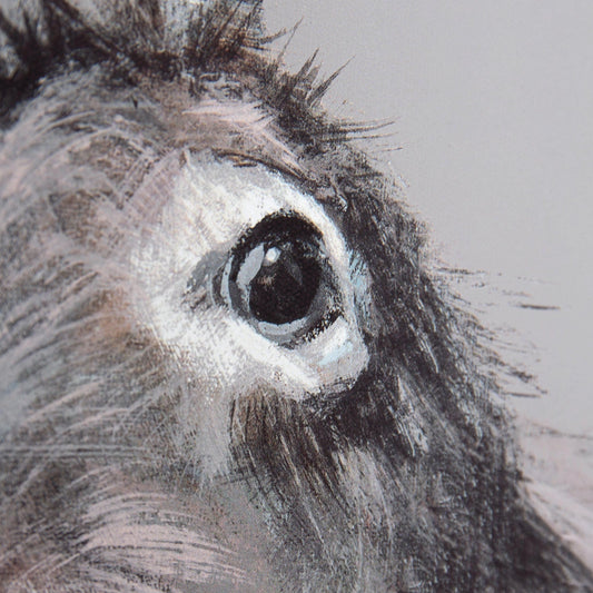 Painted detail shot of a Donkey eye