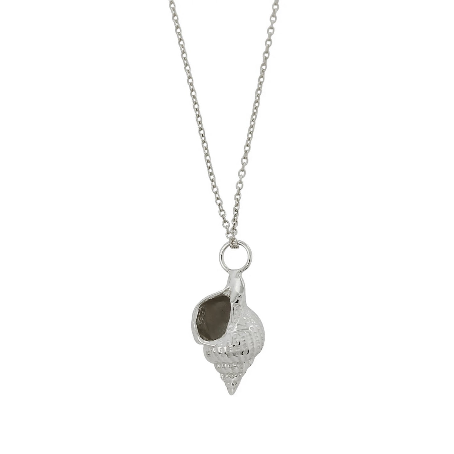 Spiral Shell | Pendant