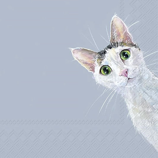 Light blue paper napkins with adorable cat design