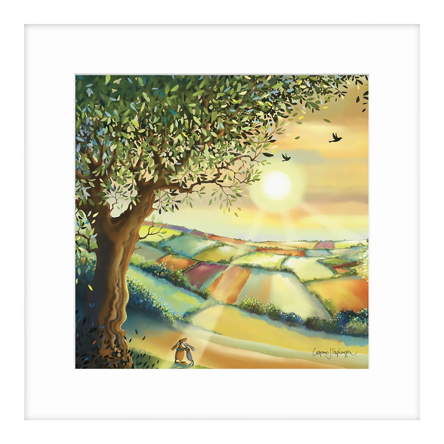 Sunshine | Framed Print by Catherine J Stephenson