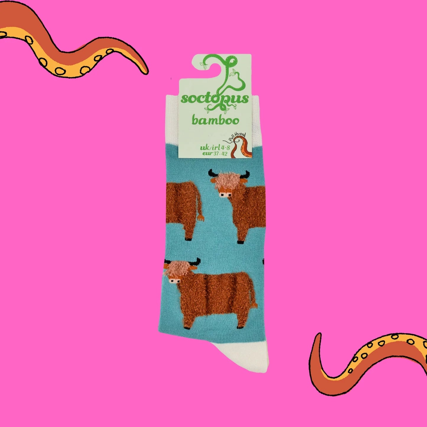 Duck egg blue socks with tufted Highland cows in packaging