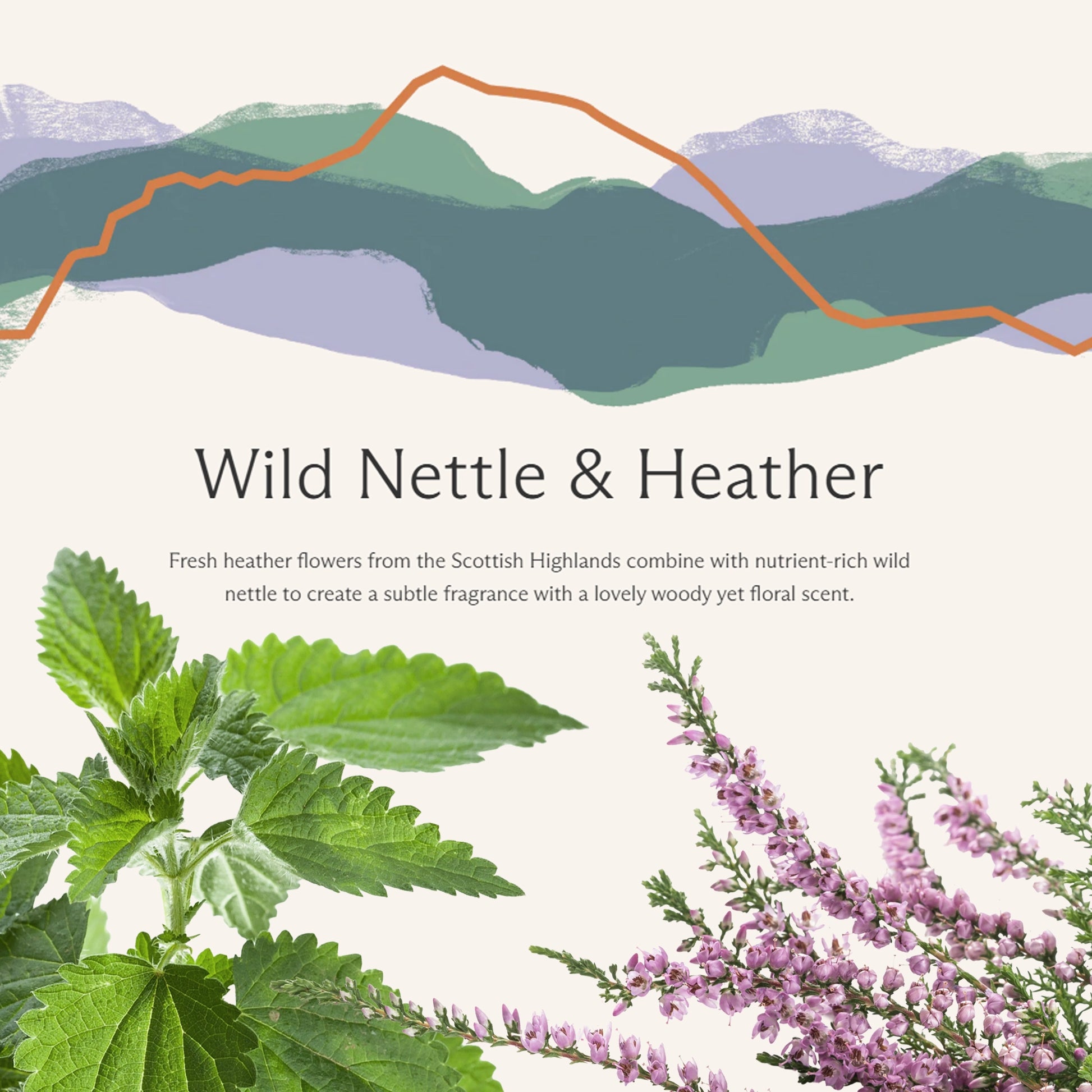 Wild nettle and heather text