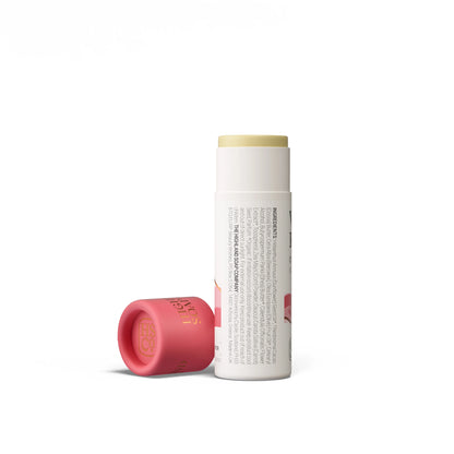 Highland Soap Co. wild raspberry flavour organic lip balm in compostable tube packaging with ingredient list