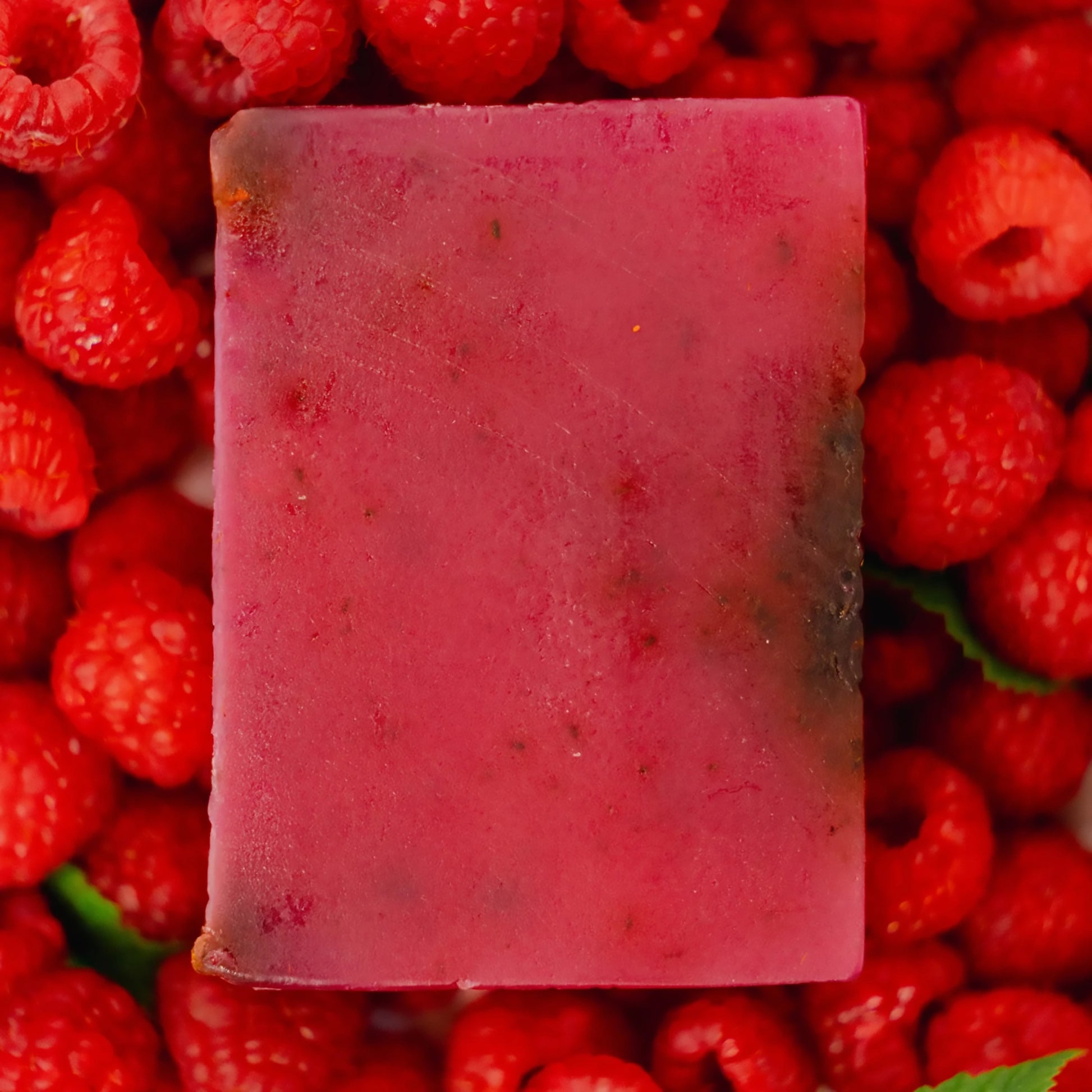 Highland Soap Co. bar of organic Scottish raspberry soap lifestyle with fresh raspberries