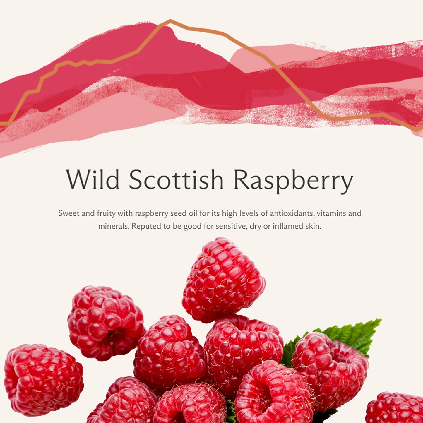 Wild Scottish Raspberry text
