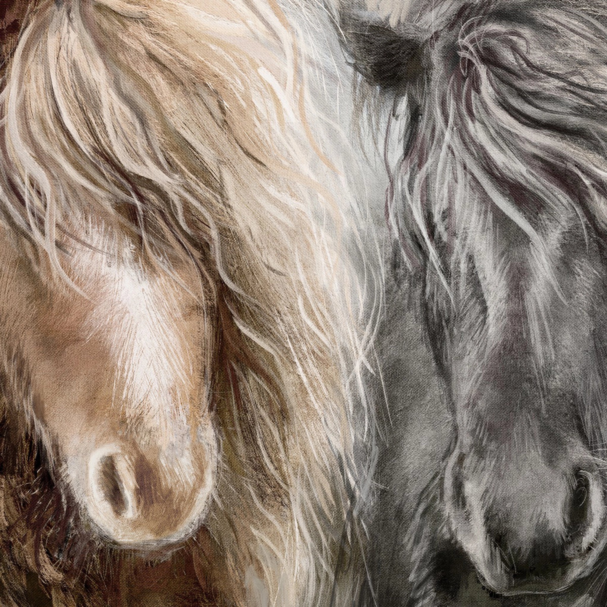 Detailed close-up of brown and black pony.