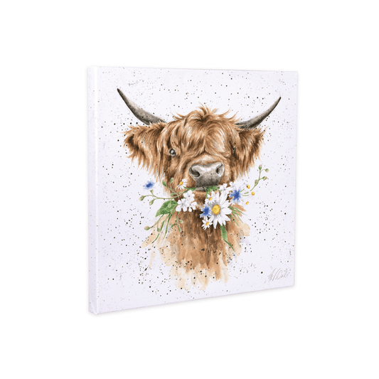 Daisy Coo - 50cm Canvas Print