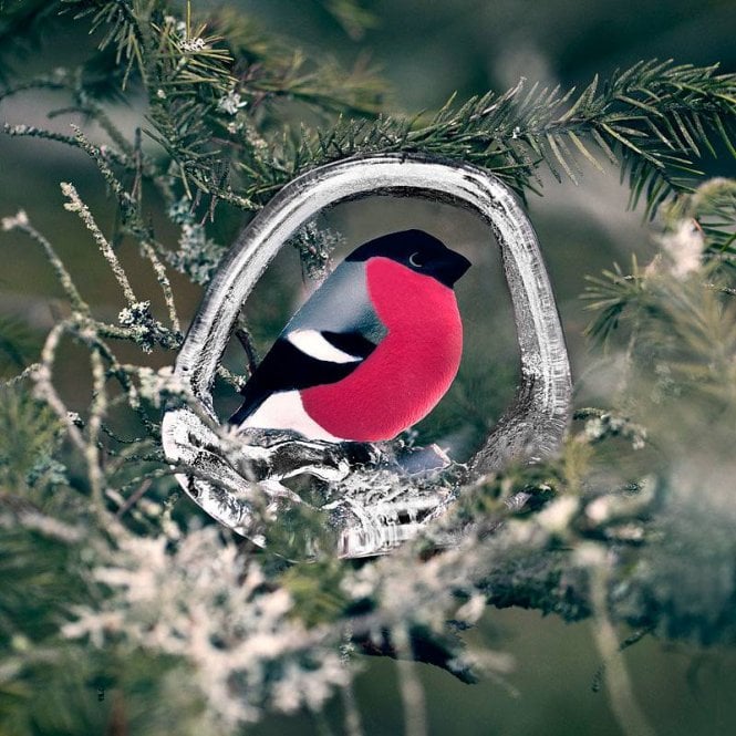 Cast Crystal Painted Bullfinch Sculpture