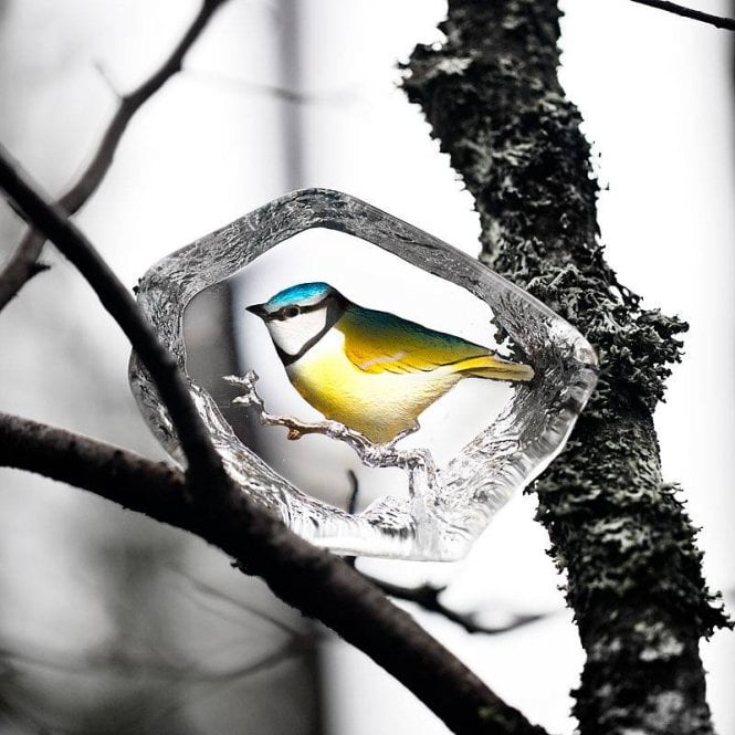 Cast Crystal Painted Blue Tit Sculpture