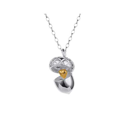 Heart in a Nutshell Pendant