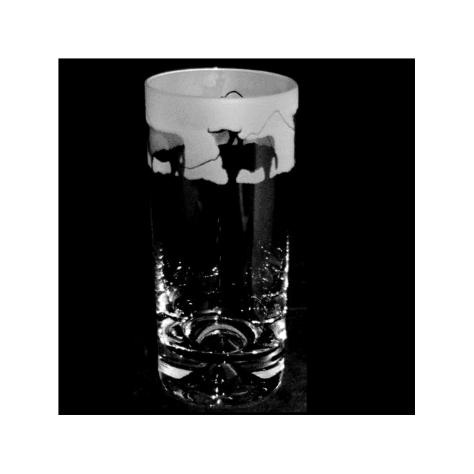 Highland Cow Highball Tumbler