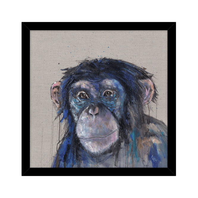 Charlie - Chimpanzee