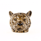 Leopard Face Egg Cup