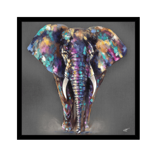 Hugh - Elephant
