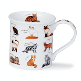 Bute Cat Breed Mug