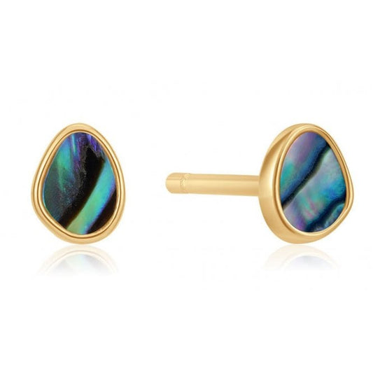 Tidal Abalone Gold Stud Earrings