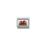 Welsh/ Wales Flag