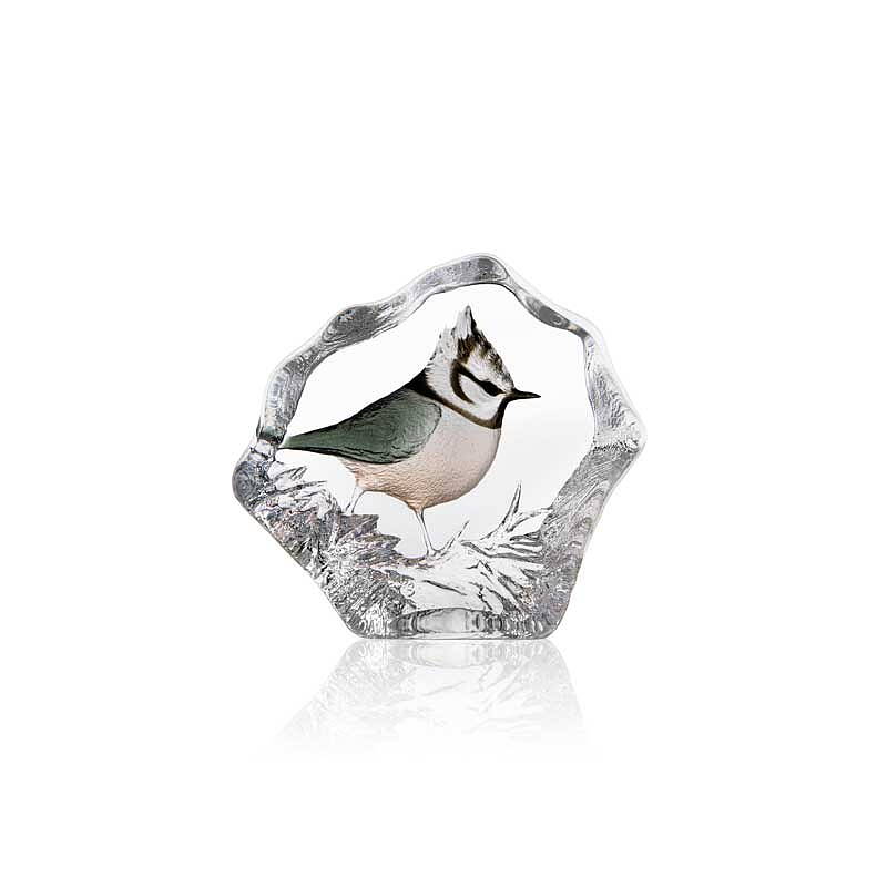 Cast Crystal Crested Tit