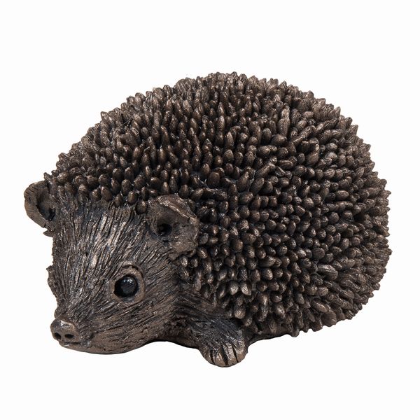 Squeak - Junior Hedgehog