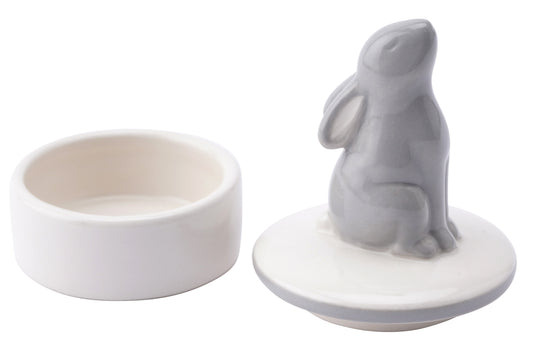 Stargazing Hare Trinket Pot