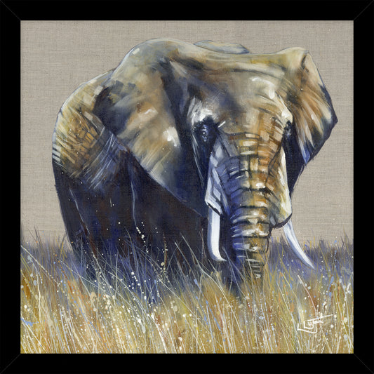 Little Fields of Gold - Elephant