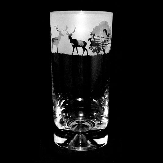 Woodland Scene Highball Tumbler