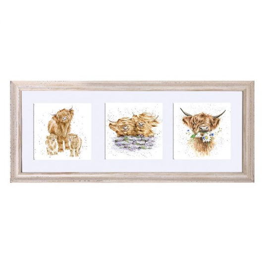 Framed Print | Trio of Highland Cows