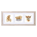 Framed Print | Trio of Highland Cows