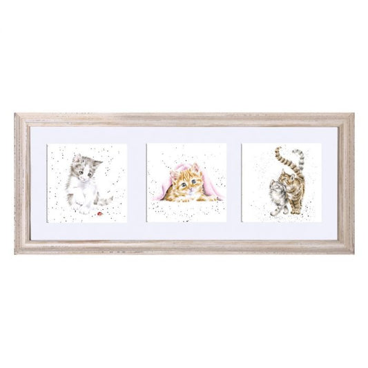 Framed Print | Trio of Cats